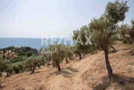 Agricultural 4403 sq.m for sale