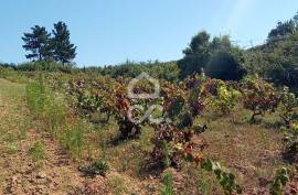 Land Óbidos Usseira