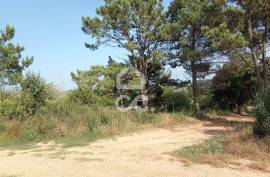 Land Óbidos Usseira