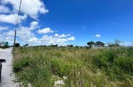 Great Building Lot In Punta Cana