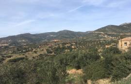 Stone House & Olive Farm For Redevelopment For sale in Pandannasa Lakonia