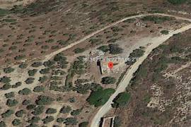 Stone House & Olive Farm For Redevelopment For sale in Pandannasa Lakonia