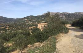 Stone House & Olive Farm For Redevelopment For sale in Pandannasa Lakonia