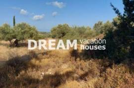 (En vente) Valorisation de la Terre Lopin de terre || Zakynthos (Zante)/Artemisio - 1.771 M2, 25.000€