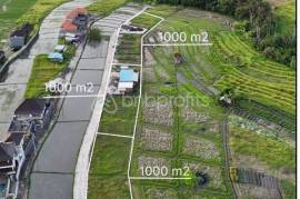 Prime Investment Opportunity, 10 Are Land in Pantai Lima