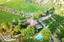 AZ321 - Organic and agritourism winery with farmhouses, winery and chianti classico docg vineyard