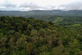 Bosque Bijagua: Prime Forest Land for Sale Near Bijagua, Costa Rica!