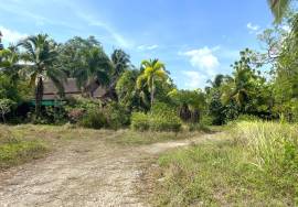 20 Bungalow for Good Investment Walk to The Beach for Sale in Khao Lak, Phangnga