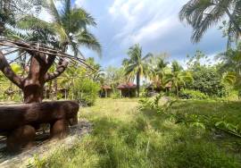 20 Bungalow for Good Investment Walk to The Beach for Sale in Khao Lak, Phangnga