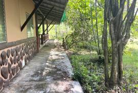 20 Bungalow for Good Investment Walk to The Beach for Sale in Khao Lak, Phangnga