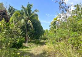 20 Bungalow for Good Investment Walk to The Beach for Sale in Khao Lak, Phangnga