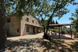 AZ325- Agricultural winery with farmhouse, dependence, agricultural annexes, and 5.7 hectares of land