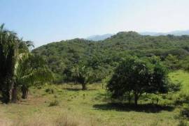 Land-Plot for sale in Lo-De-Marcos Mexico