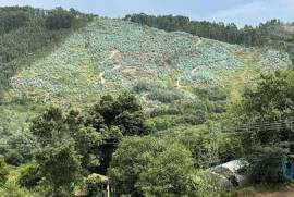 Terreno Agrícola em Banho e Carvalhosa de 159460,00 m²