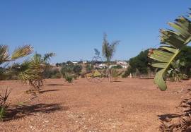 Farmhouse Lagos Odiaxere