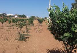 Farmhouse Lagos Odiaxere