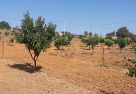 Farmhouse Lagos Odiaxere