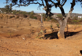 Farmhouse Lagos Odiaxere