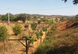 Farmhouse Lagos Odiaxere