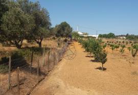 Farmhouse Lagos Odiaxere