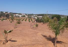 Farmhouse Lagos Odiaxere