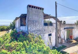 Farm in Borba