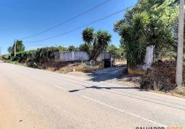 Farm in Borba