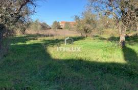 Farm in the center of Peraboa