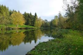 Luxury 6 Bed House & Gite For Sale In Loire Valley