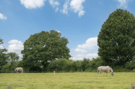 Luxury Barn Conversion in Surrey