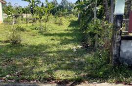 216 square meters of beautiful land are for sale in Khok Kloi, Phang Nga.