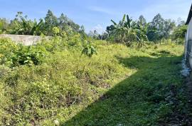 216 square meters of beautiful land are for sale in Khok Kloi, Phang Nga.