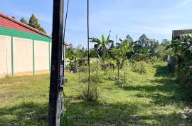 216 square meters of beautiful land are for sale in Khok Kloi, Phang Nga.