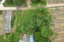 124 square meters of land are for sale in the heart of the city in Khok Kloi, Phang Nga.