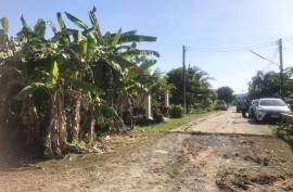 124 square meters of land are for sale in the heart of the city in Khok Kloi, Phang Nga.