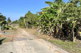 124 square meters of land are for sale in the heart of the city in Khok Kloi, Phang Nga.