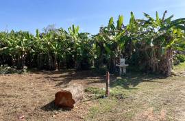 124 square meters of land are for sale in the heart of the city in Khok Kloi, Phang Nga.