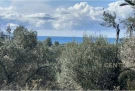 LAND FOR SALE IN BORSH