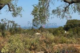 SEA VIEW LAND FOR SALE IN CAROVIGNO