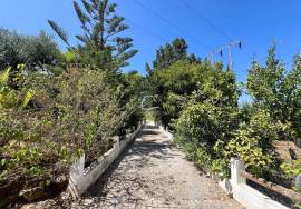 Charming Traditional Farmhouse near Santa Barbara de Nexe