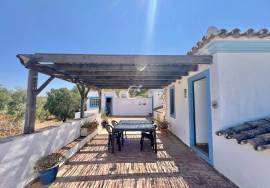 Charming Traditional Farmhouse near Santa Barbara de Nexe