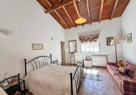 Charming Traditional Farmhouse near Santa Barbara de Nexe