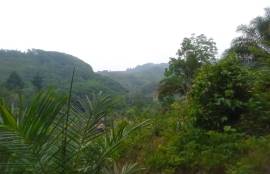 7 Rai Hill Land with Mountain Views for Sale near KK Monster Fish Fishing Park, Phangnga