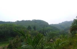 7 Rai Hill Land with Mountain Views for Sale near KK Monster Fish Fishing Park, Phangnga