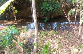 5.5 Rai Coconut Plantation with Scenic Mountain Views Land for Sale in Khokkloy, Phangnga