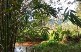 5.5 Rai Coconut Plantation with Scenic Mountain Views Land for Sale in Khokkloy, Phangnga