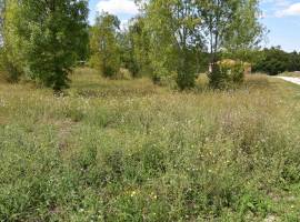 Parcelle plat dans le bourg d\'une commune rurale au sud de Bergerac.