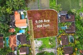 Gateway to Ubud’s Charms: Elite 9,08 Are Freehold Land Offering in Sayan for Discerning Buyers