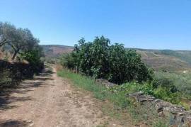 Terreno Agrícola em Poiares de 1900,00 m²