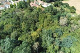 €130000 - Superb Property with Wooded Park near Villefagnan